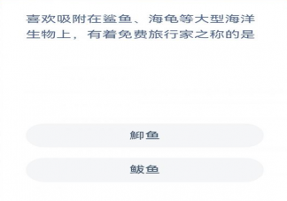 吸附在海洋生物上有着免费旅行家之称的是什么 神奇海洋3月3日答案解析