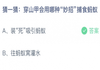 穿山甲会用哪种妙招捕食蚂蚁 蚂蚁庄园3月4日答案最新