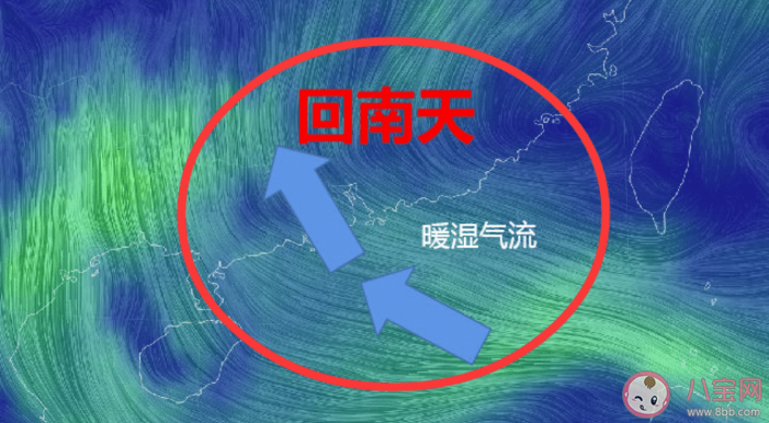 我国华南地区春季经常出现哪种天气 蚂蚁庄园3月7日每日一题答案