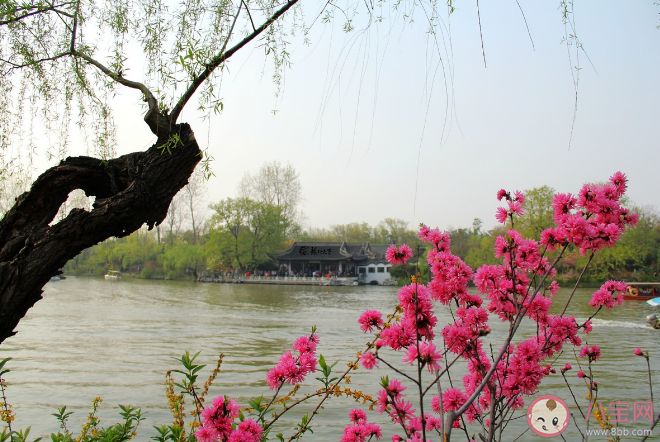 烟花三月下扬州中的烟花是指什么 蚂蚁庄园3月9日答案解析