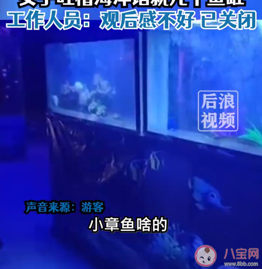 游客吐槽25元看海洋馆就几个鱼缸 海洋馆应该有哪些动物