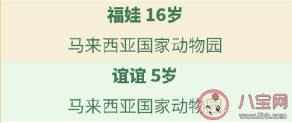 一共有多少只大熊猫在海外 64只海外大熊猫介绍