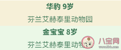 一共有多少只大熊猫在海外 64只海外大熊猫介绍