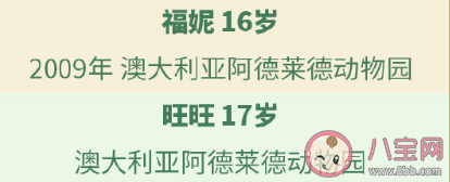 一共有多少只大熊猫在海外 64只海外大熊猫介绍