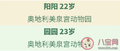 一共有多少只大熊猫在海外 64只海外大熊猫介绍