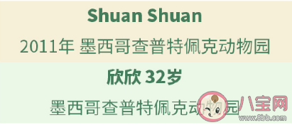 一共有多少只大熊猫在海外 64只海外大熊猫介绍