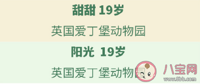 一共有多少只大熊猫在海外 64只海外大熊猫介绍