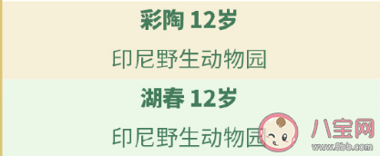 一共有多少只大熊猫在海外 64只海外大熊猫介绍