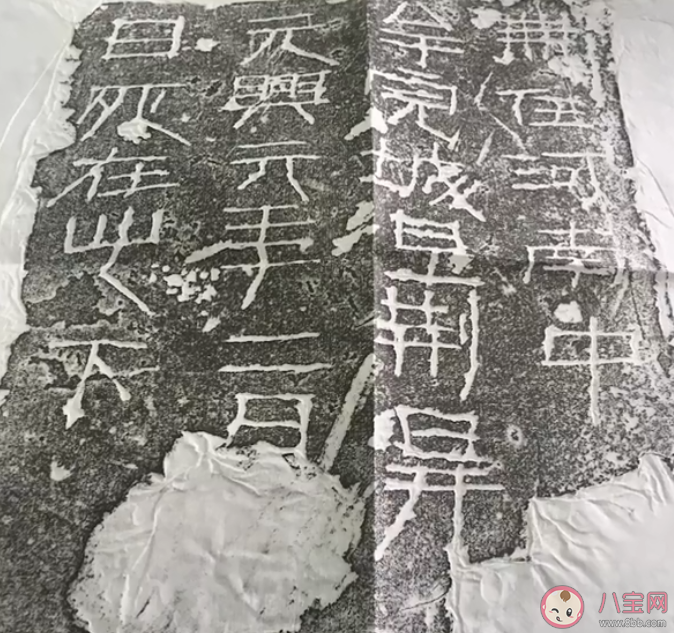 女生发视频吐槽意外带火甲骨文专业 学的专业太冷门是什么体验