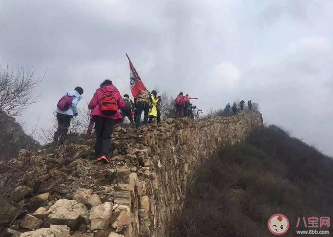 上山时哪种方式更科学省力 蚂蚁庄园4月4日答案