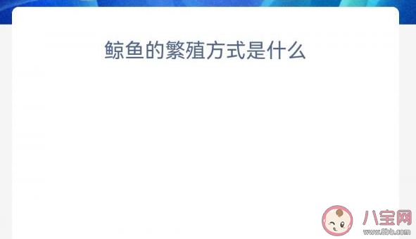 鲸鱼的繁殖方式是什么 神奇海洋4月3日答案