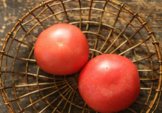 番茄为什么会长毛 番茄应该怎样储存