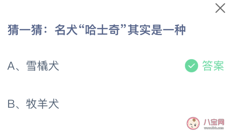 名犬哈士奇其实是一种 蚂蚁庄园4月14日答案