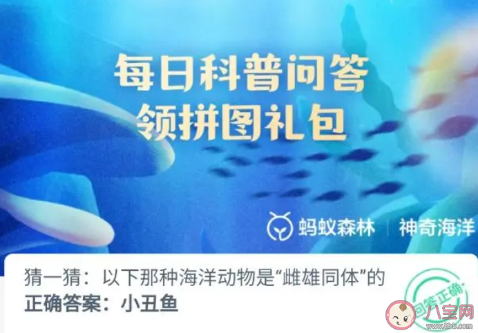 以下哪种海洋动物是雌雄同体的 神奇海洋4月17日答案