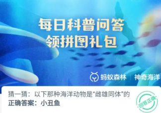 以下哪种海洋动物是雌雄同体的 神奇海洋4月17日答案