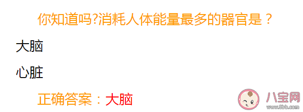 消耗人体能量最多的器官是什么 蚂蚁庄园4月19日答案