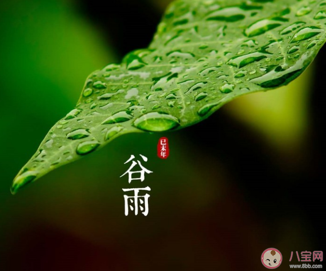 谷雨节气之后天气通常会有什么变化 蚂蚁庄园4月20日答案