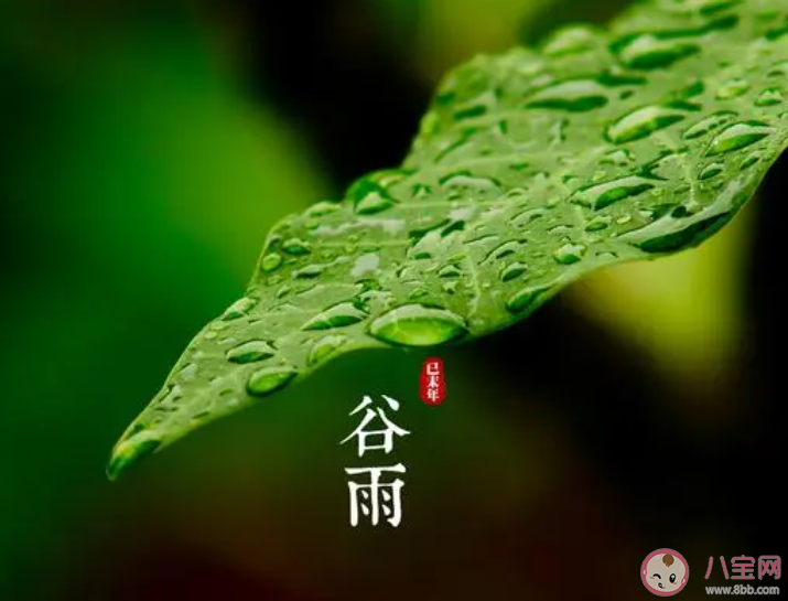 蚂蚁庄园谷雨节气之后天气会有什么变化 小课堂4月20日答案