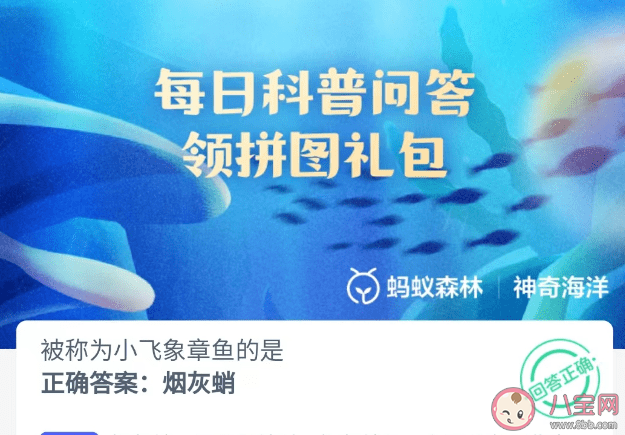 被称为小飞象章鱼的是 神奇海洋4月19日答案