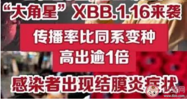 国家疾控局回应XBB.1.16流行情况 XBB.1.16会引起结膜炎吗