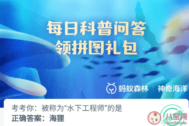 被称为水下工程师的是哪种动物呢 神奇海洋4月23日答案