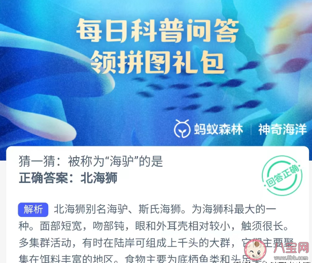 蚂蚁森林被称为海驴的是什么动物 神奇海洋4月24日答案