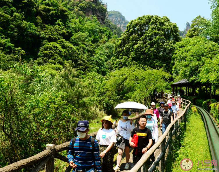 如何看待五一假期旅游成本暴涨 为什么五一民宿现涨价毁约潮