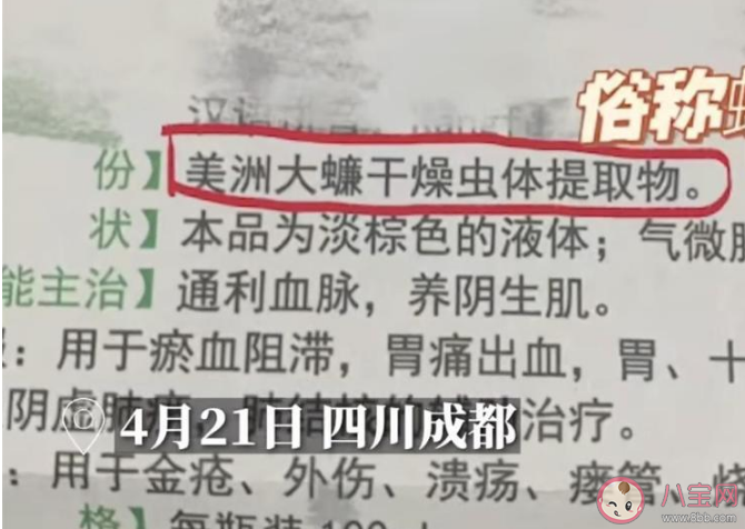 蟑螂也能入药吗 什么蟑螂可以入药