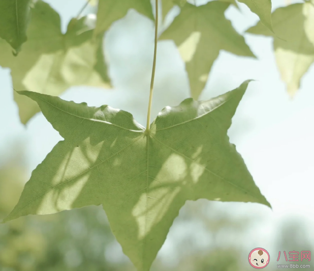 你会介意另一半文化水平低吗 会和比自己文化低的人谈恋爱吗