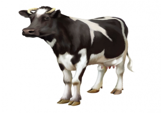 奶牛美甲师月入过万是真的吗 奶牛美甲师是做什么的