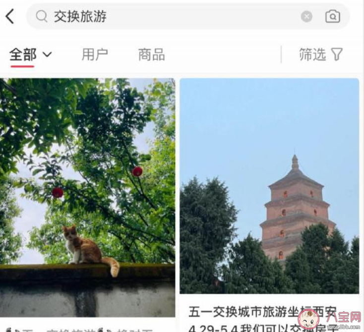 交换旅游为何受年轻人热捧 你会选择交换旅游吗