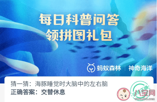 猜一猜海豚睡觉时大脑中的左右脑 神奇海洋5月1日答案