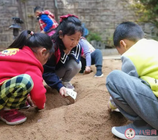 在小小的花园里面挖呀挖呀挖是什么歌 《花园种花》完整版歌词介绍