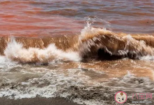 咸潮大多发生在 神奇海洋5月9日答案