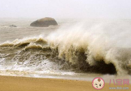 咸潮大多发生在 神奇海洋5月9日答案