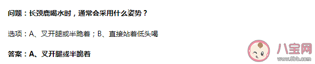 蚂蚁庄园长颈鹿喝水时通常会采用什么姿势 5月17日答案介绍