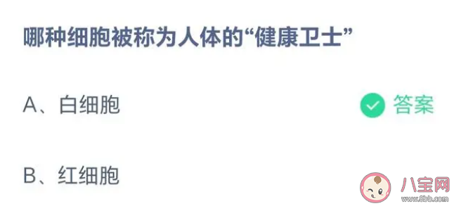 哪种细胞被称为人体的健康卫士 蚂蚁庄园5月17日答案