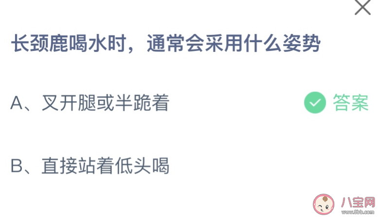 长颈鹿喝水时通常会采用什么姿势 蚂蚁庄园5月17日答案介绍