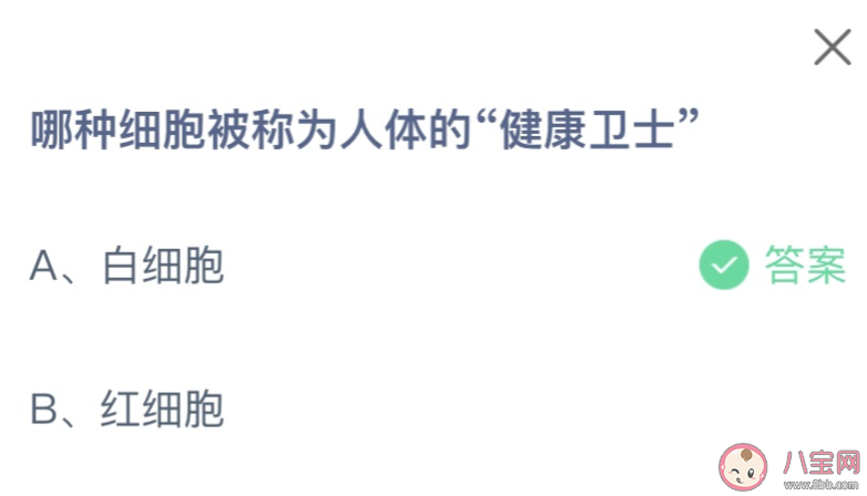 蚂蚁庄园哪种细胞被称为人体的健康卫士 小课堂5月16日答案介绍