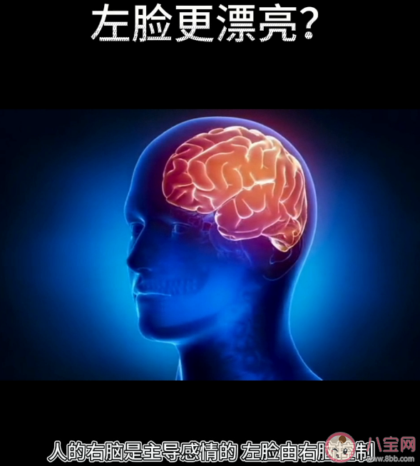 为什么左脸比右脸好看 为什么镜子中的自己看着更精神好看