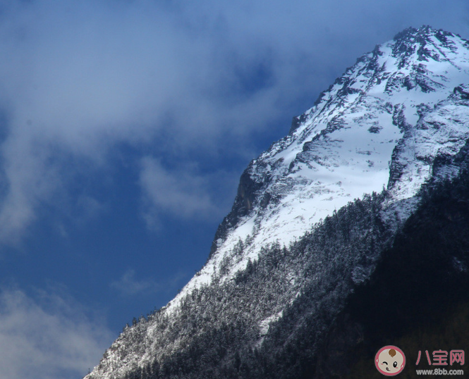 为什么要守护哈巴雪山 哈巴雪山为什么被称为人生的第一座雪山