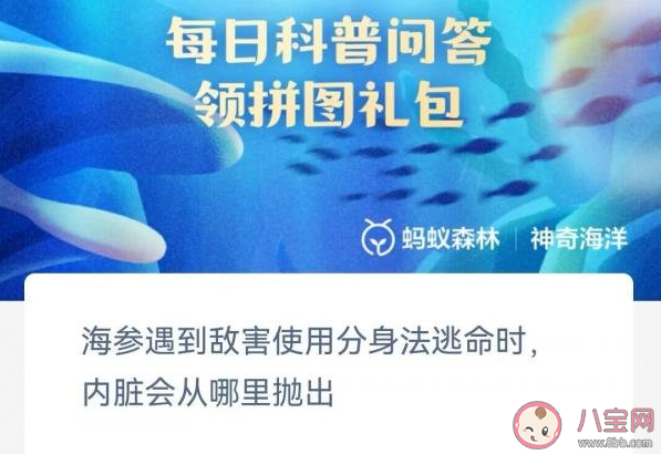 海参遇到敌害使用分身法逃命时内脏会从哪里抛出 神奇海洋5月29日答案