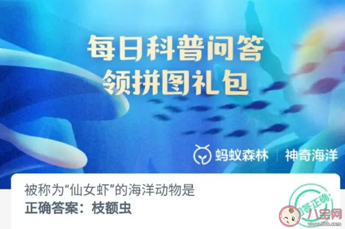 被称为仙女虾的海洋动物是 神奇海洋6月6日答案