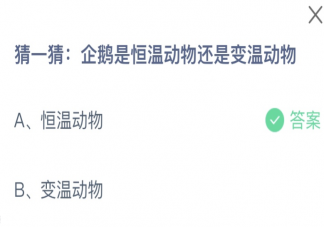 企鹅是恒温动物还是变温动物 蚂蚁庄园6月8日答案