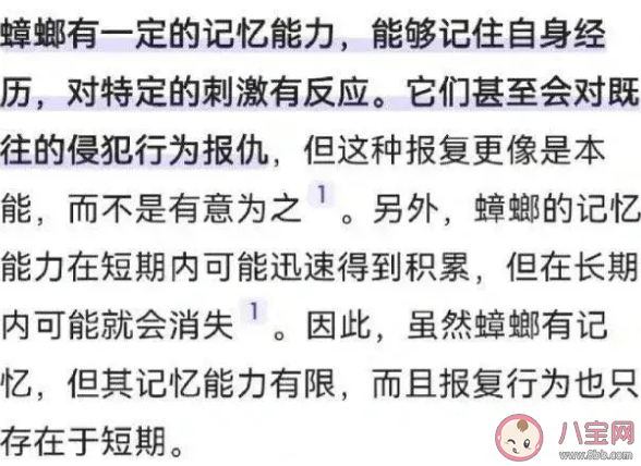 蟑螂是有记忆的吗 蟑螂会报仇吗