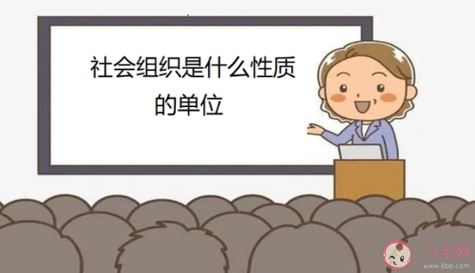 以下哪项属于社会组织等级评估的内容 蚂蚁庄园6月15日答案