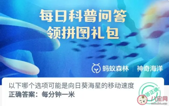 以下哪个选项可能是向日葵海星的移动速度 神奇海洋6月15日答案