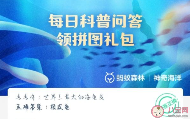 考考你世界上最大的海龟是什么 神奇海洋6月20日答案