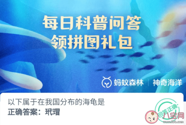 以下属于在我国分布的海龟是 神奇海洋6月29日答案