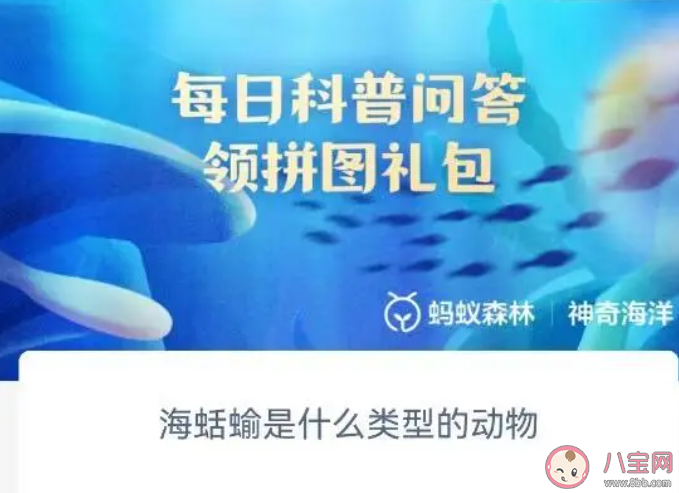 海蛞蝓是什么类型的动物 神奇海洋6月30日答案